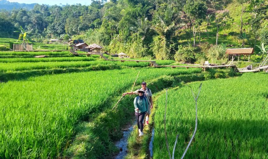 Pesona Emas Bukit Ilalang Sentul: Panduan Lengkap Aktivitas Terbaik dari Trekking hingga Piknik Estetik 2025