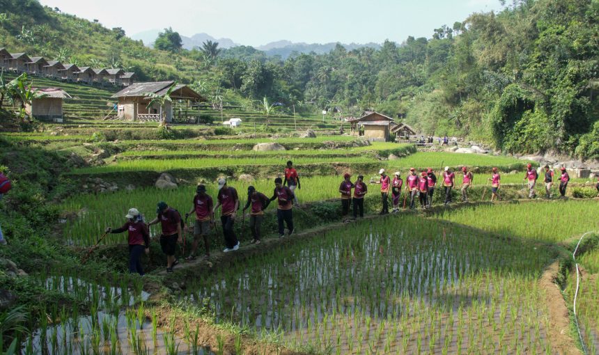 Jalur Trekking Sentul: Pilihan Rute Terbaik untuk Pemula hingga Ahli