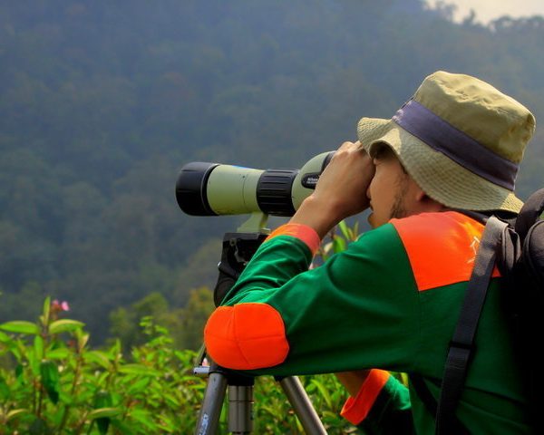 birdwatching malasari