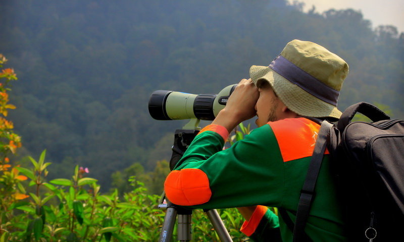 birdwatching malasari